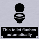 this-toilet-flushes-automatically~